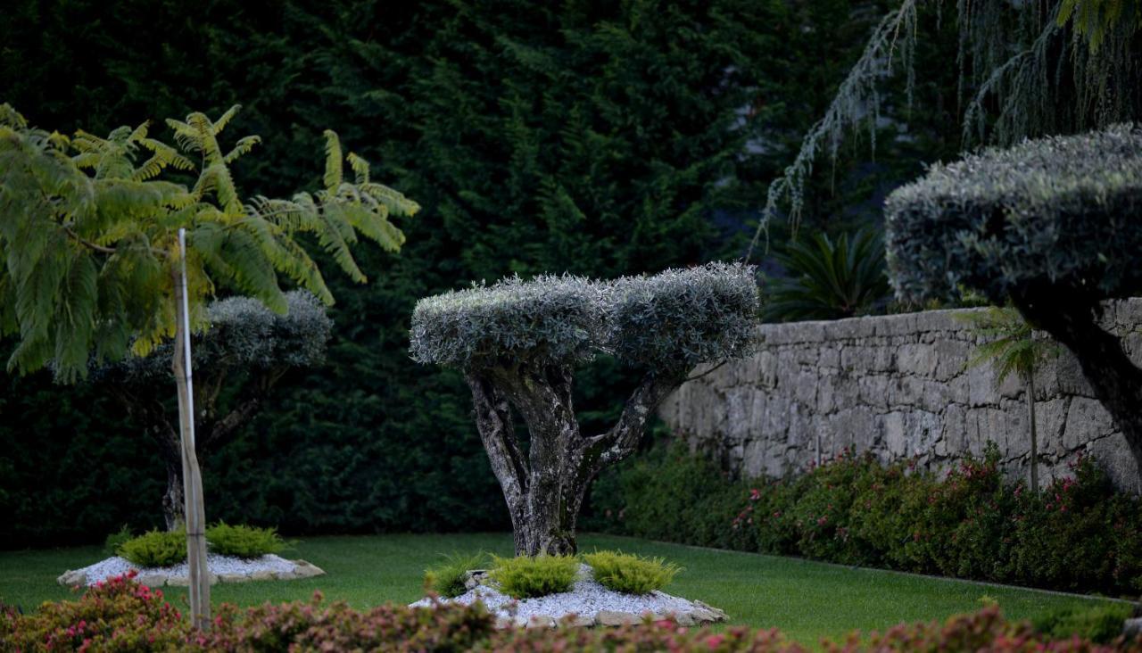 Casa Das Carpas Vizela Εξωτερικό φωτογραφία